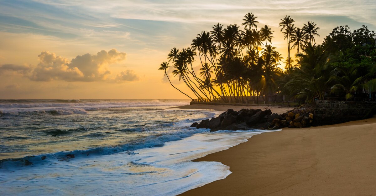 Air Arabia Abu Dhabi to launch Colombo route in January 2024