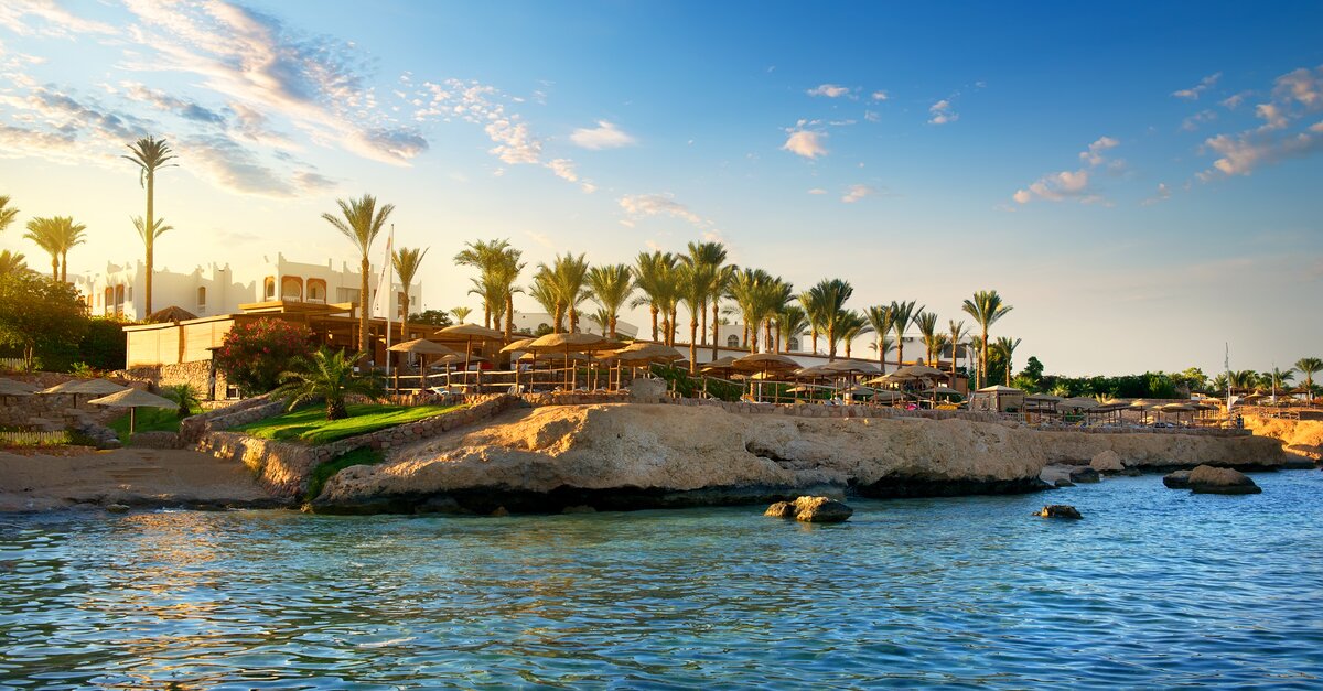 Bahrain's Gulf Air resumes 80% of pre-pandemic flight schedule