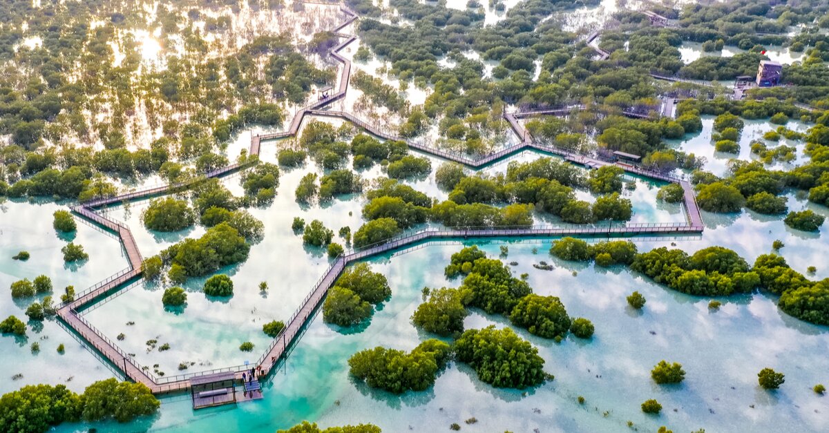 Abu Dhabi to grant public access to protected marine sites