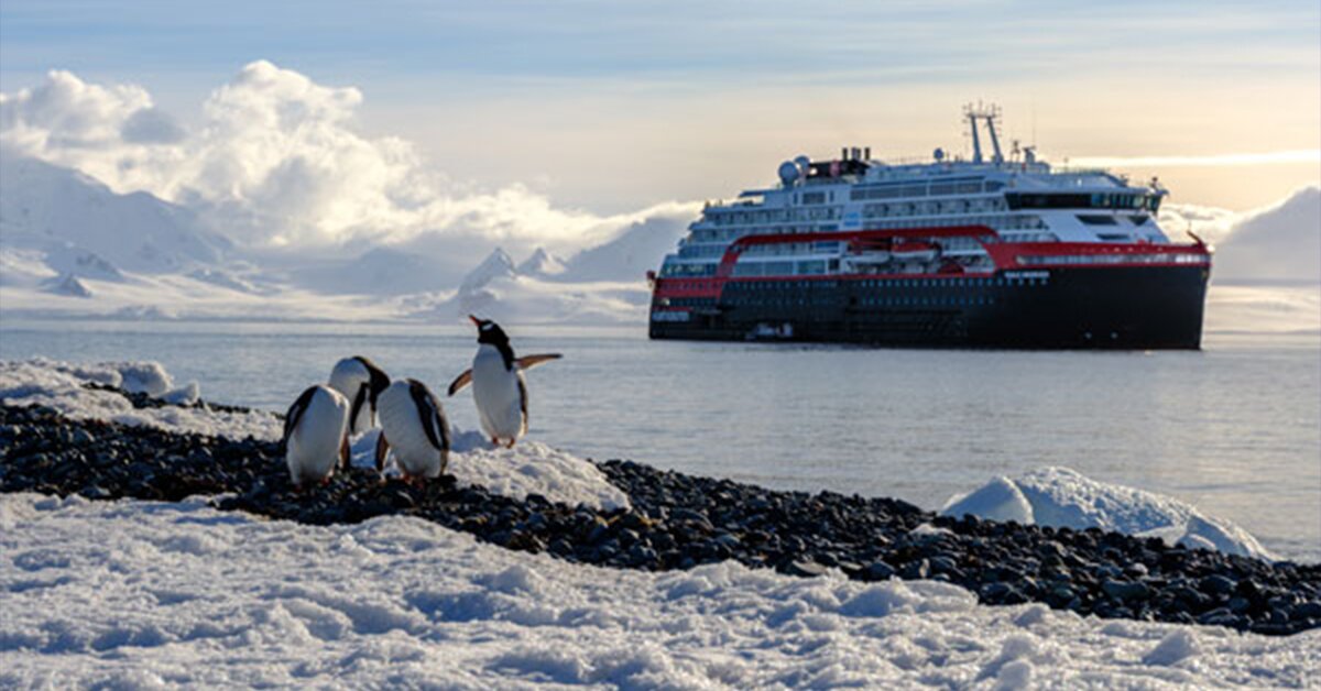 What it's really like to cruise Antarctica