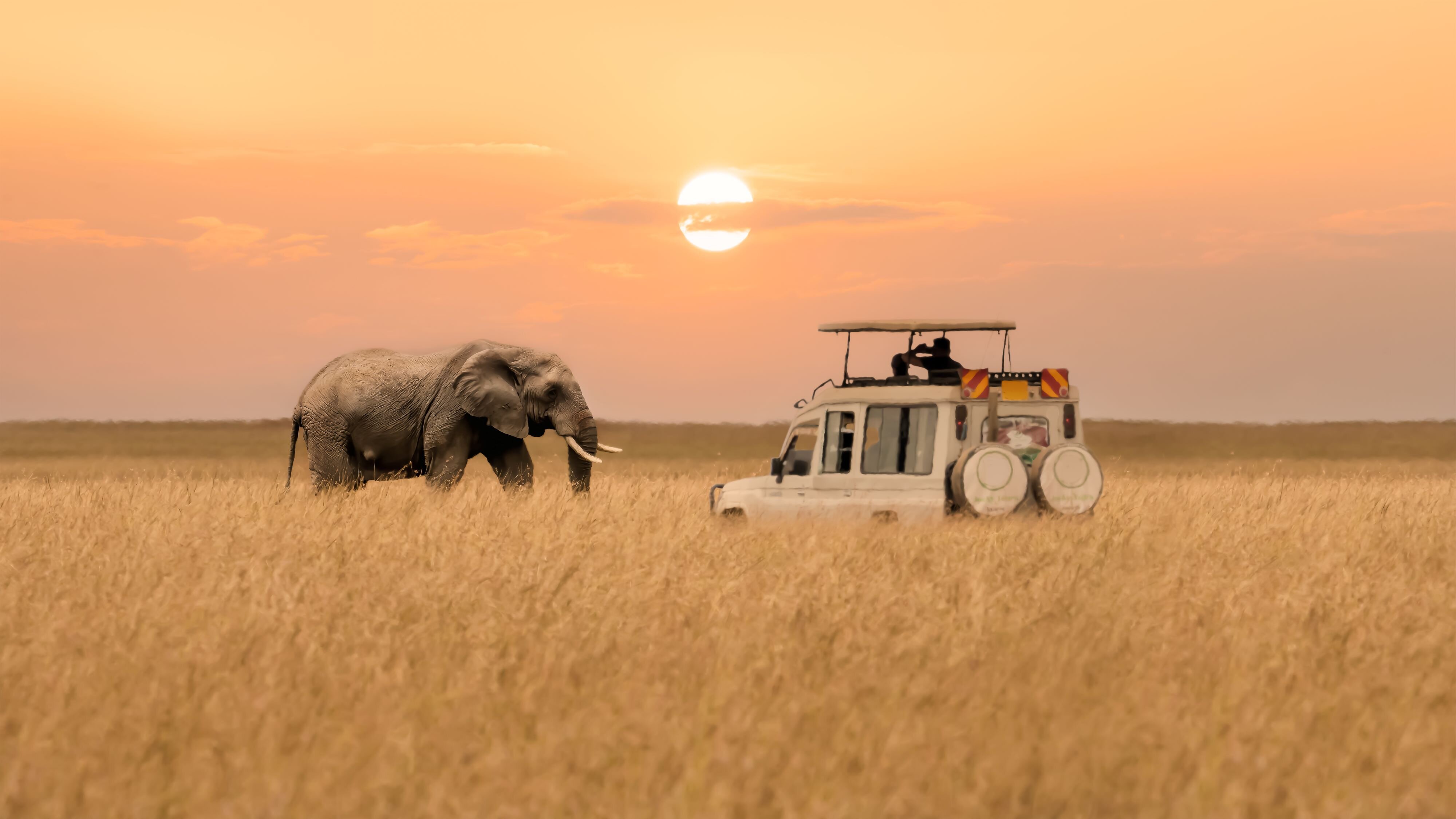 Etihad recommences flights from UAE to Kenya 