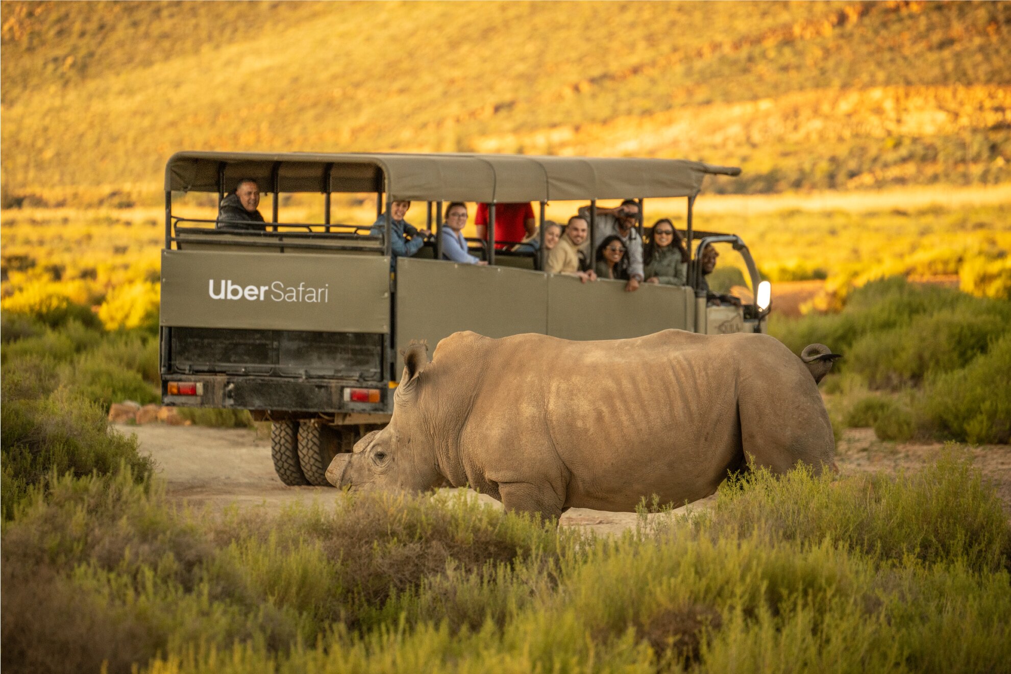 Safari day trips now available on Uber app in South Africa