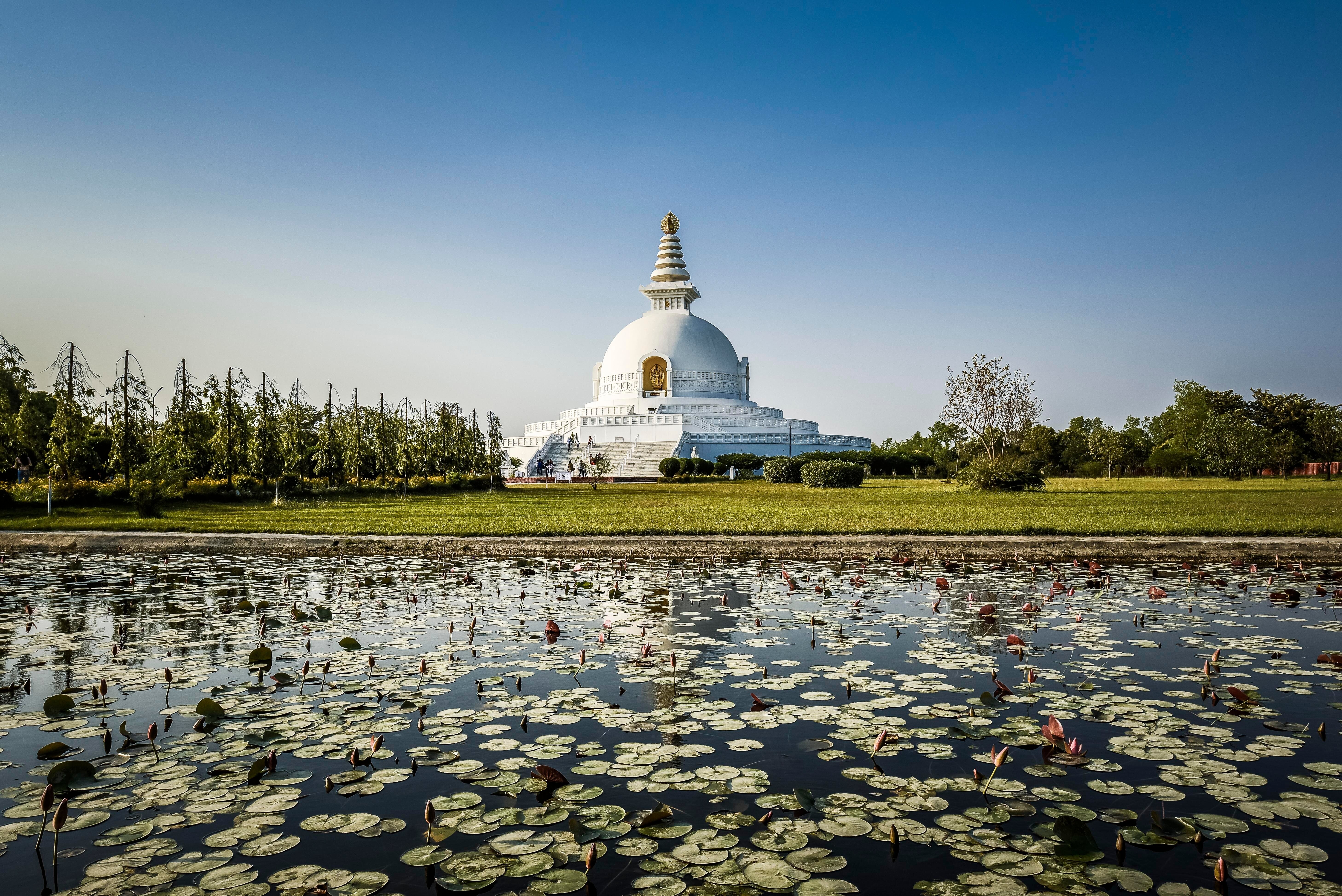 Flydubai to launch flights from Dubai to Bhairahawa, Nepal