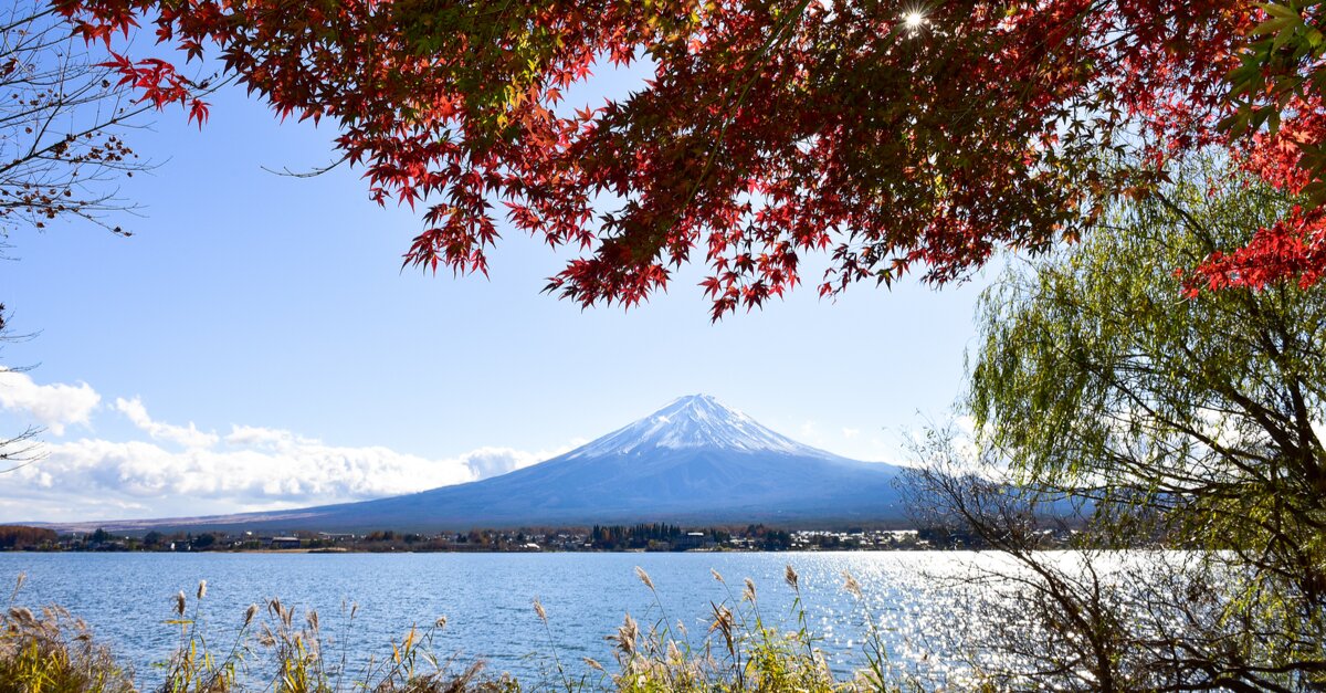 Japan reopens to chaperoned tourists