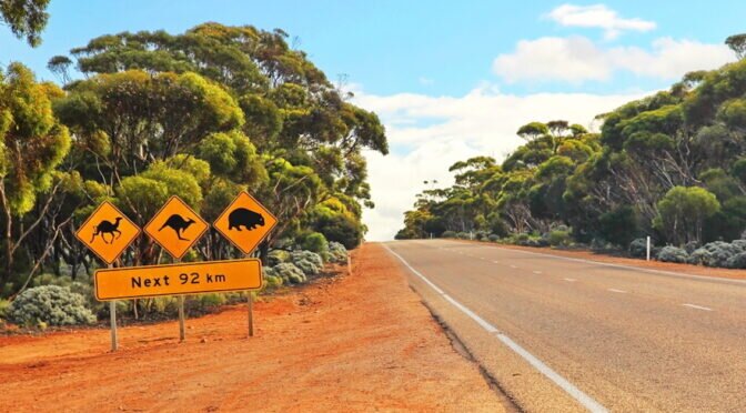 Australia raises working holiday visa age to 35 for British passport holders